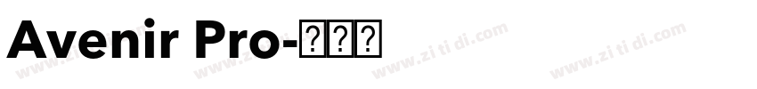 Avenir Pro字体转换 Avenir Pro字体转换
